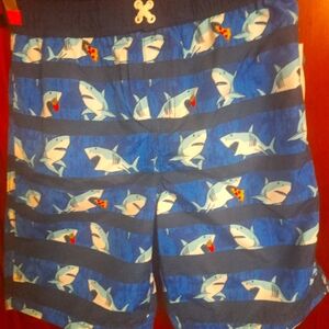 Boys swim trunks size 14/16